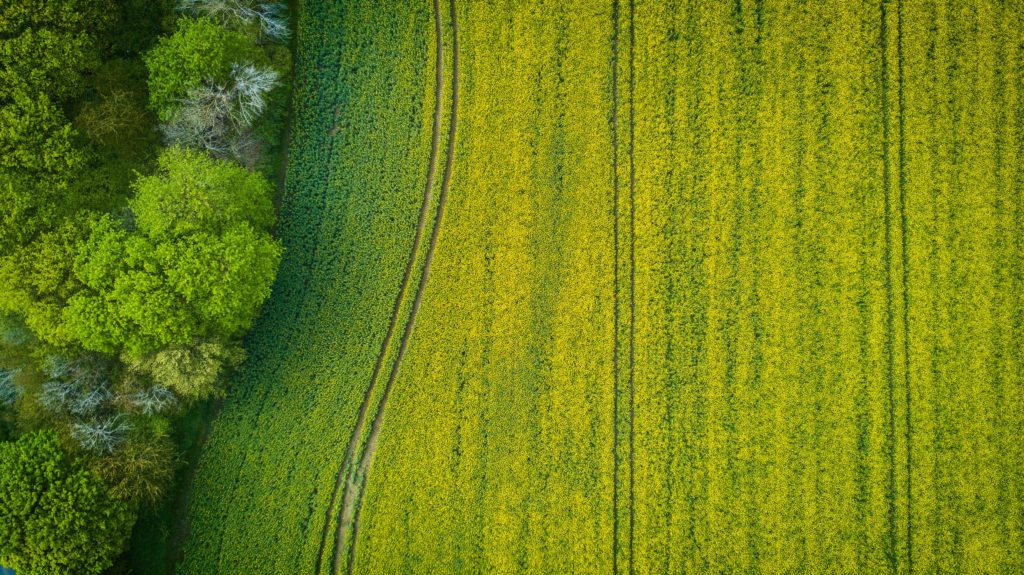 EIT Climate-KIC and Quantis launch the GeoFootprint Project to develop a tool to measure and monitor environmental impacts of crops